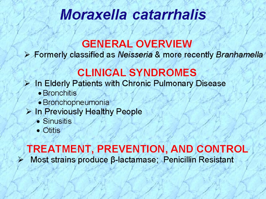 Moraxella catarrhalis